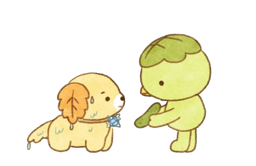 Official Character Design