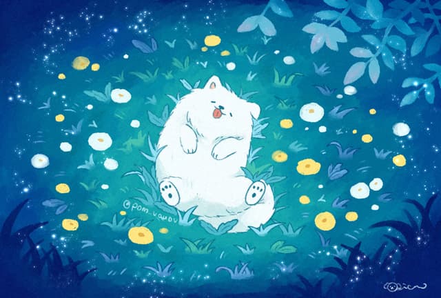 Samoyed in night grass field