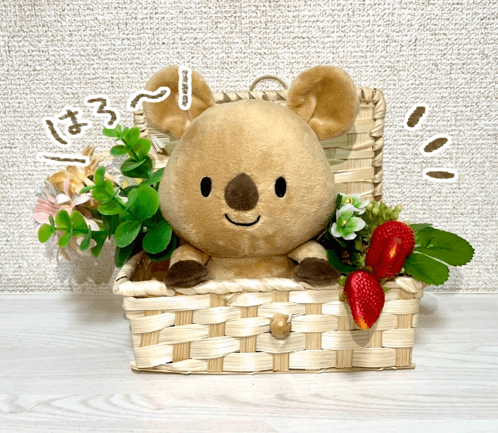 くーちゃんぬいぐるみ化プロジェクト