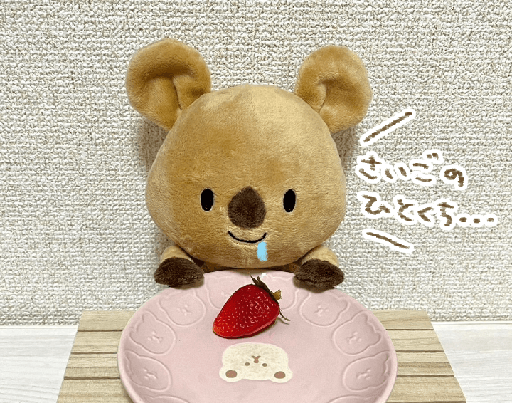 くーちゃんぬいぐるみ化プロジェクト