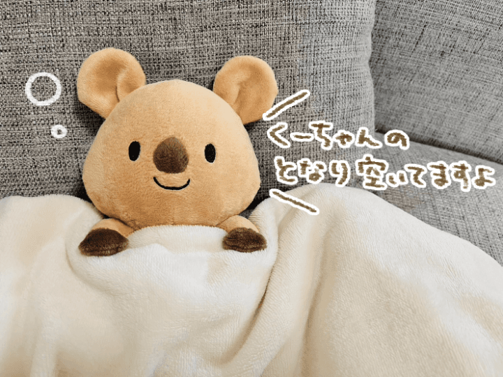 くーちゃんぬいぐるみ化プロジェクト